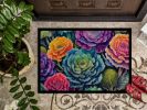 NEW Ornamental Kale in Color Doormat Front Door Mat Indoor Outdoor Rugs for Entryway, Non Slip Washable Low Pile, 18H X 27W
