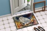 NEW Snowy Owl Doormat Front Door Mat Indoor Outdoor Rugs for Entryway, Non Slip Washable Low Pile, 18H X 27W