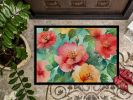 NEW Georgia Cherokee Rose in Watercolor Doormat Front Door Mat Indoor Outdoor Rugs for Entryway, Non Slip Washable Low Pile, 18H X 27W